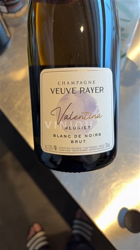 Šampanja Šampanjec Veuve Rayer Valentina Neleten.