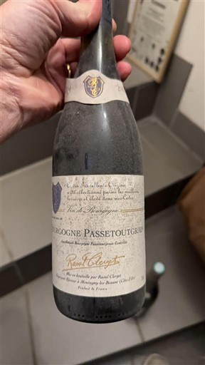 Borgogna Borgogna-passetoutgrain Domaine Raoul Clerget Senza annata