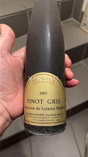 Alsace Earl Brun Philippe 2005