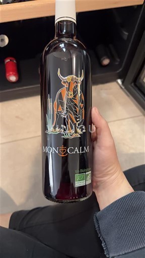 Valle del Rodano Costières di Nîmes Moncalm Senza annata