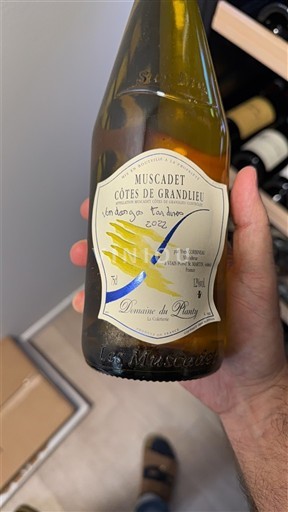 Thung lũng sông Loire Muscadet-côtes-de-grand-lieu Domaine Planty Vendanges Tardives 2022