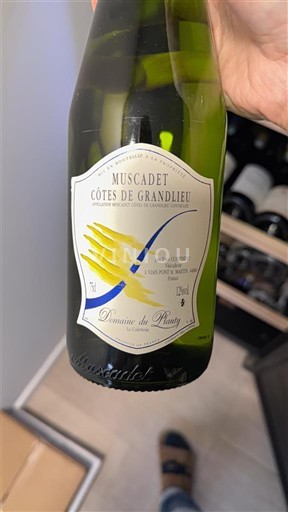 Thung lũng sông Loire Muscadet-côtes-de-grand-lieu Domaine Plessis Không niên vụ