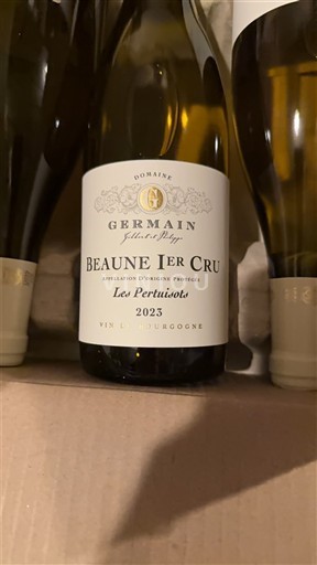 Borgonha Não especificado Premier Cru Domaine Germain Les Pertuisots 2023