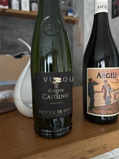 Languedoque Picpoul-de-Pinet Château Castelnau 2024