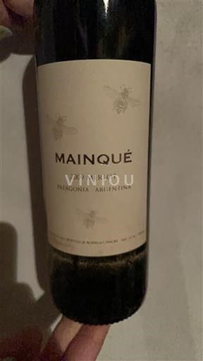 Patagonia Unspecified Mainqué 2009