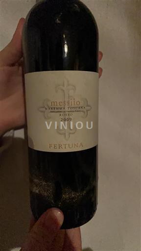Toscane Niet gespecificeerd Fertuna Messilio 2009