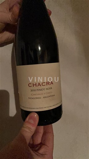 Patagonia Unspecified Chacra Cincuenta y Cinco 2010