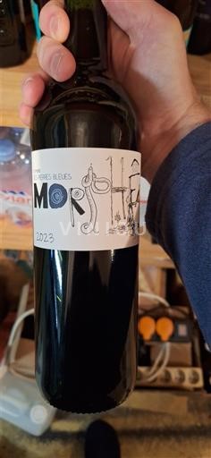 Languedoc Corbières Les Pierres Bleues Morphê 2023