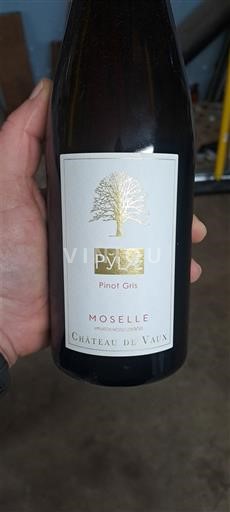 Lorraine Moselle Château Vaux Pylô 2023