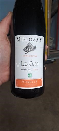 Lorraine Moselle Château Vaux Les Clos 2023