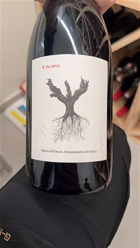 Castille và León Ribera del Duero Psi 2013