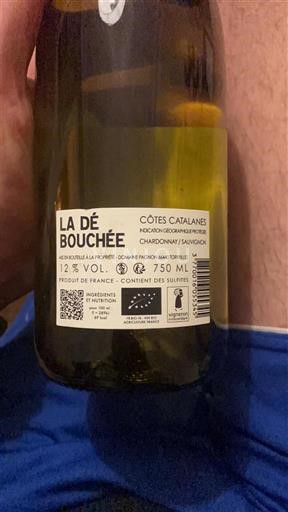 Lengdok dhe Rusionjë Katalanas Bregdetar Domaine Pagnon La Débouchée Jo Viti