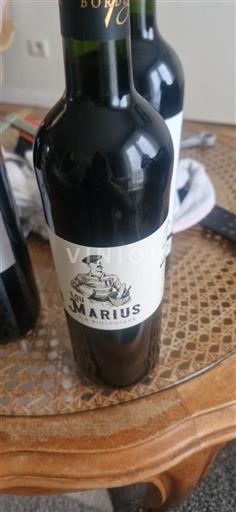 Bordeaux Lou Marius Không niên vụ
