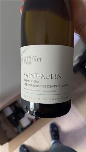 Bourgogne Saint-Aubin Premier Cru Christian Bergeret et Fille Les Murgers des Dents de Chien 2024