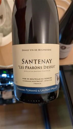 Bourgogne Santenay Domaine Fernand & Laurent Pillot Les Prarons Dessus Non Millésimé