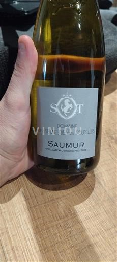 Loire-dalen Saumur Domaine La Seigneurie des Tourelles 2023