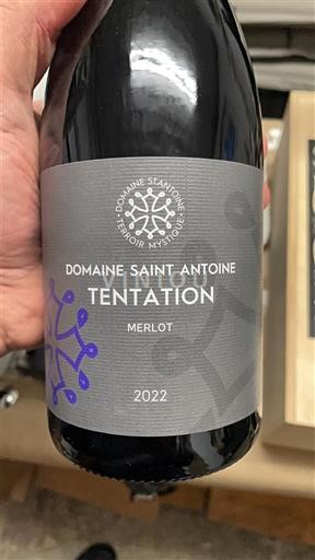 Languedoc và Roussillon Vùng đất Oc Domaine Saint Antoine Tentation Merlot 2022