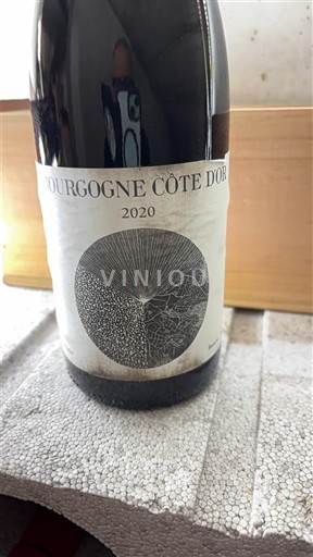 Borgogna Borgogna Côte d'Or Maison Louis Jadot 2020
