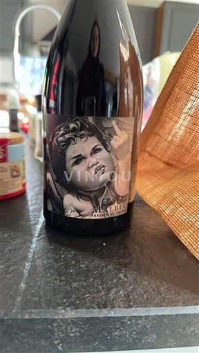 Tây Nam Côtes du Lot Philippe et Sylvain Ravier Malbec Không niên vụ