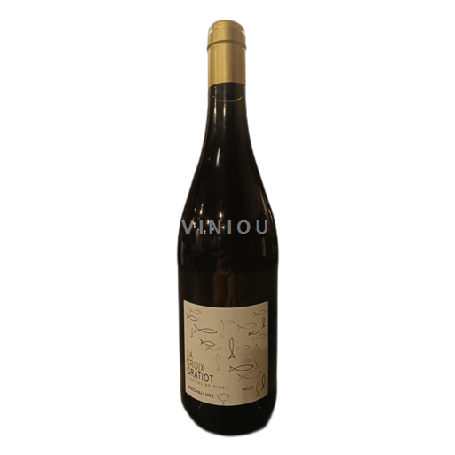 Languedoc Picpoul-de-pinet La Croix Gratiot Bréchallune 2023