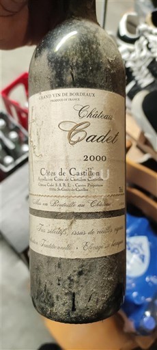 Bordeaux Castillon-côtes-de-bordeaux Château Cadet 2000