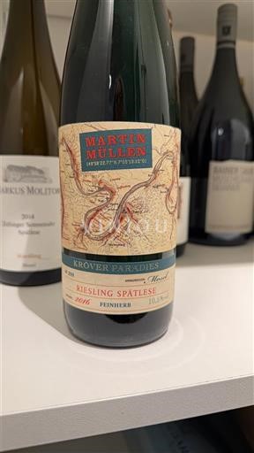 Mosel Moselle Martin Müllen Kröver Paradies 2016