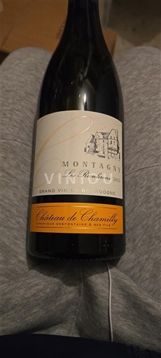 Burgundija Montagny Château Chamilly Les Reculerons Neleten.