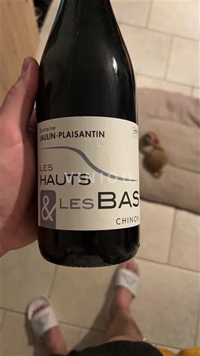 Valle del Loira Chinon Domaine Jaulin-Plaisantin Les Hauts & Les Bas 2019