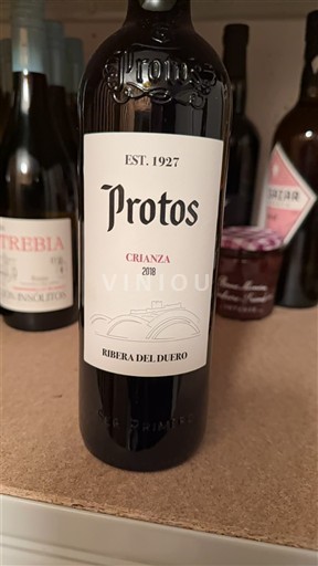 Castela e Leão Ribera del Duero Protos Crianza 2018