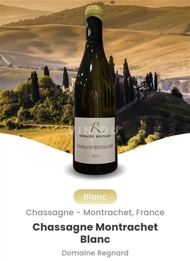 Bourgogne Chassagne-montrachet Domaine Regnard 2023