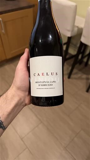 Abruci Montepulciano d'Abruzzo Caelus 2023