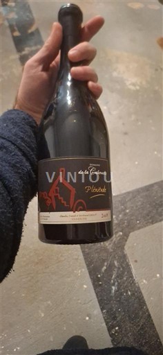 Thung lũng sông Loire Bourgueil Domaine La Cabernelle Plenitude 2009