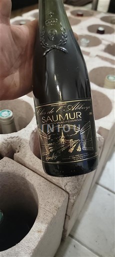 Valle della Loira Saumur Clos de l'Abbaye 1998