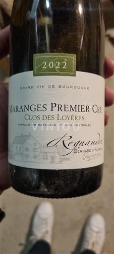 Borgogna Maranges Premier Cru Domaine Bernard et Florian Regnaudot Clos des Loyères 2022