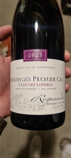Borgogna Maranges Premier Cru Domaine Bernard et Florian Regnaudot Clos des Loyères 2023