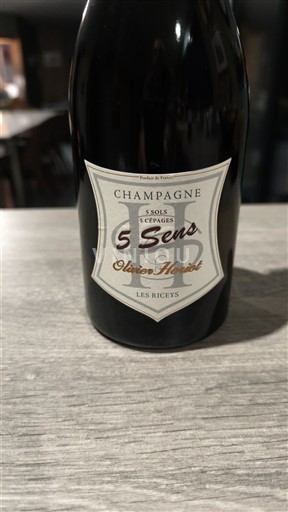 Champagne Olivier Horiot 5 Sens Ikke årgangsbestemt