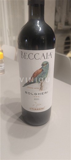 Toscana Bolgheri Tenuta Sterpina Beccaia 2021