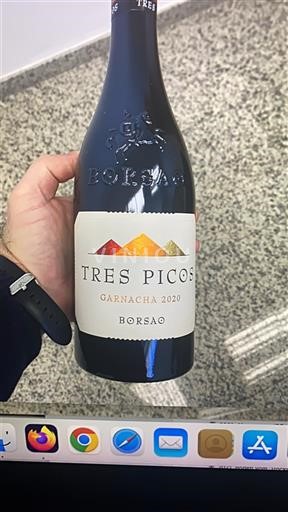 Aragonien Campo de Borja Borsao Tres Picos 2020