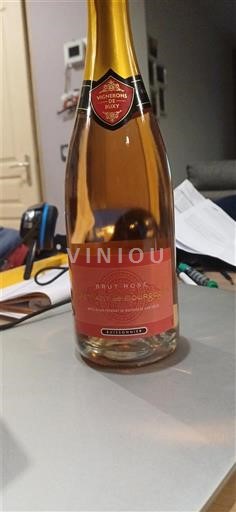 Bourgogne Crémant-de-bourgogne Victorine de Chastenay Buissonnier Non Millésimé