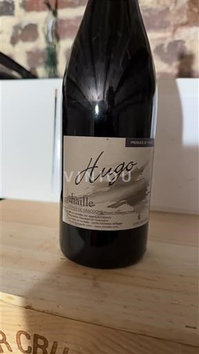 Sudoeste Côtes de Gascogne Château Hauterive de Haut-Lahaille Hugo 2020