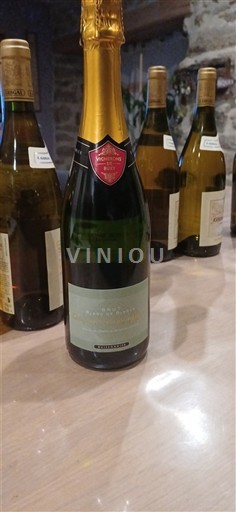 Burgundi Crémant de Bourgogne Buisonnier Crémant de Bourgogne Ei vuosikertaa