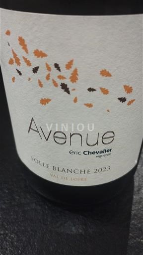 Thung lũng sông Loire Gros-plant-du-pays-nantais Eric Chevalier Avenue 2023