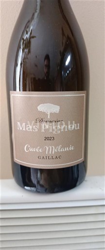 Sudoeste Gaillac Domaine Mas Pignou Mélanie 2023