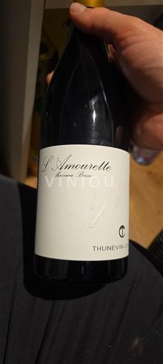 Roussillon Côtes du Roussillon Villages Thunevin-Calvet L'Amourette Không niên vụ