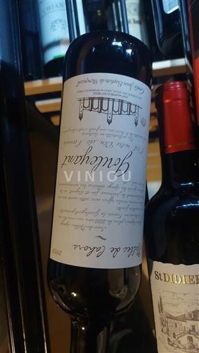 Sydvestfrankrig Madiran Château Aydie Aydiem 2016