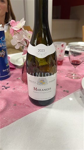 Borgogna Maranges Domaine S Rouges Queues 2023