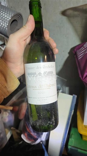 Thung lũng sông Loire Coteaux-de-l'aubance Domaine S Rochelles 2001