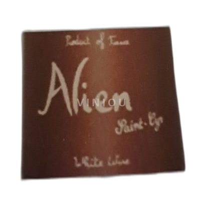 Beaujolais Domaine Saint Cyr Alien 2022