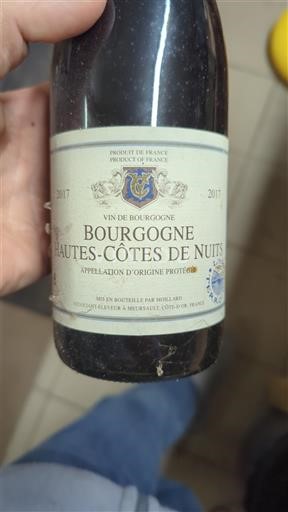 Bourgogne Hautes Côtes de nuits Moillard 2017