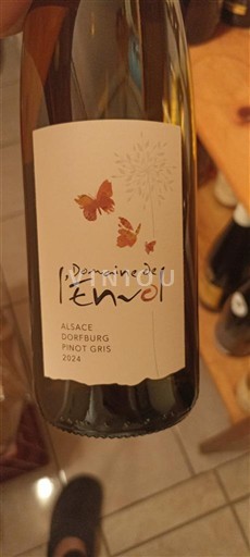 Alsacia Domaine L'Envol 2024